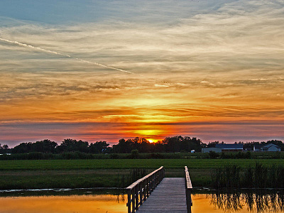 Sunset Photo By Mayur Rele nature photography naturelovers photography wildlifephotography