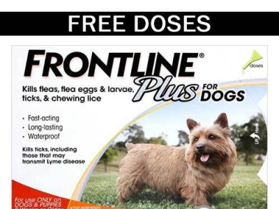 frontline plus for dogs orange