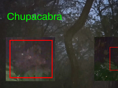 Real chupacabra sightings caught on camera in the forest