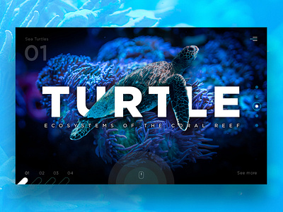 Turtle: Ecosystems of the Coral Reef Website Design coral reef design graphic design hero home homepage landing landing page landing page concept landing page design landingpage travel turtle ui uidesign webdesign website