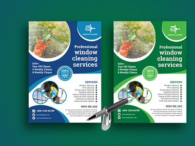 Professional Window Cleaning Services Blue Green