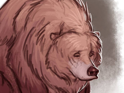 Sad Bear Doodle animal bear digital sketch