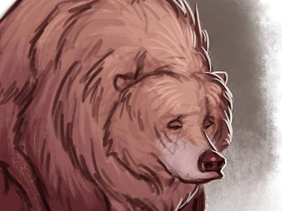 Sad Bear Doodle