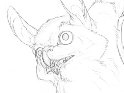 Fantasy Battle Mount - Face brynn creature design fantasy gnome metheney sketch