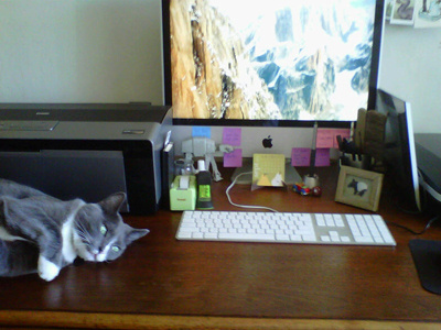 Where I work cat computer desk workspace