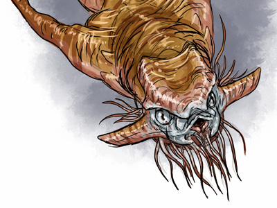 Mermaid Concept 3 art brynn concept creature design drawing mermaid metheney