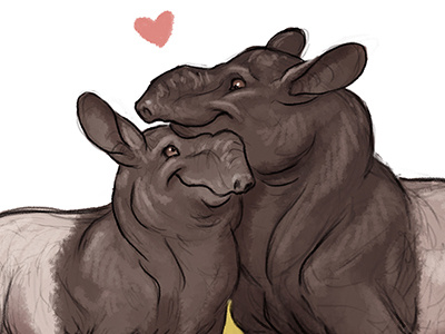 Tapir Love animal brynn concept art creature design illustration metheneyh tapir valentines day
