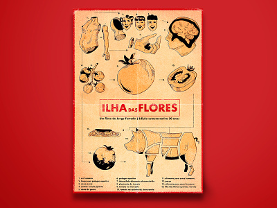 Ilha das Flores brazilian design ilha das flores illustration movie movie poster poster posterdesign