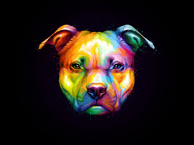 Pitbull Colorful