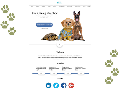 VetcareLTD Landing Page cat dog pets turtle ui ui design uidesign uiux vet veterinarian veterinary