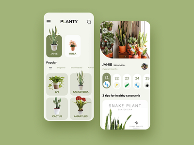 Planty app! Make your plants healthier! app design design figma illustration illustrator minimal plant plant illustration planting plants plants app simple ui