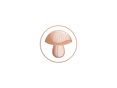 Bolete Mushroom | Nikola Lackovic branding design fungi identity illustration lettering lineart logo minimal monogram nature outdoors personal porcini video wild woods youtube