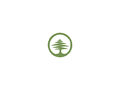 Cedar