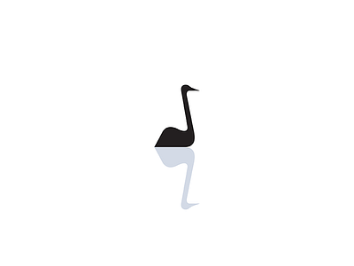 Black Swan | Transmutation bird black minimal reflection swan water white