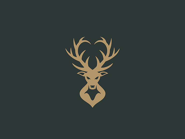 Wildhearts by Dalibor Pajic on Dribbble