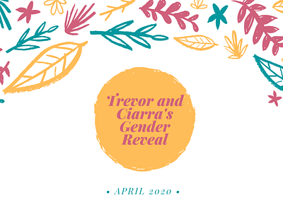 Gender Reveal Graphic design illustration typography web