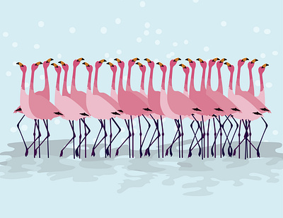 Flamingo Mating Dance flat illustration vector