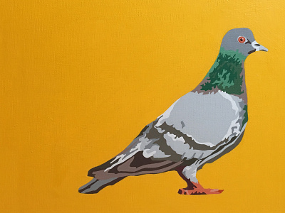 Paloma acrylic acrylic painting acrylicpainting bird canvas flat pigeon popart