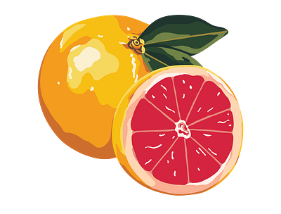 Pamplemousse branding grapefruit illustrator logo logo design