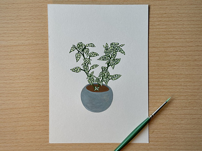 Polka Dot Plant Illustration acrylic design flat illustration painting