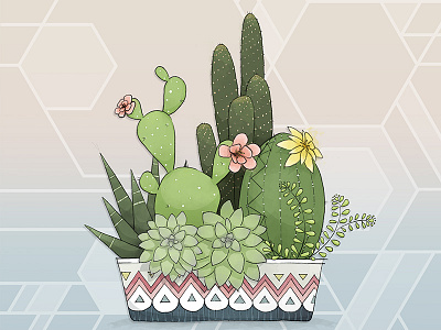 Cacti bowl cactus digital geometric greenery hand drawn pattern plant