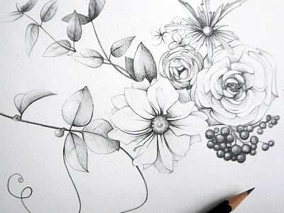 Sketchbook flowers draft flower flowers leaves monochrome nature pencil sketch sketchbook