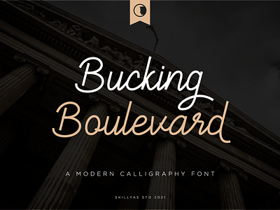 Bucking Boulevard Font art branding design graphic design illustration illustrator logo script font ui ux vector
