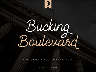 Bucking Boulevard Font