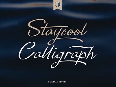 Staycool Calligraph Modern Script Font art branding design graphic design illustration logo signature ui ux vector