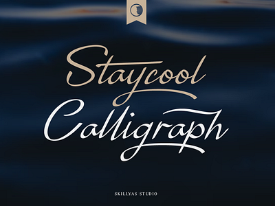 Staycool Calligraph Modern Script Font