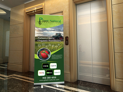 Rollup banner design