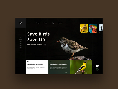 Bird trust website design concept. clean design design flat landingpage minimal simple design typography ui design uiux ux design webdevelopment