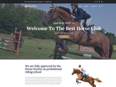 Horse Riding WordPress Theme equestrian horse horse club horse racing horse riding themes wordpress