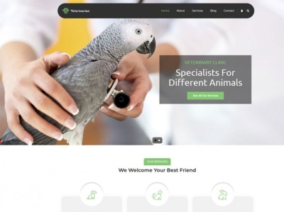 Best Veterinary Wordpress Themes pet care pet clinic wordpress theme