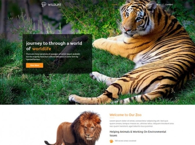 Wild Zoo WordPress Theme wild zoo wordpress theme wordpress theme