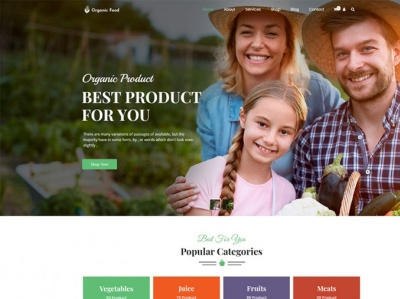 Organic Food Store WordPress Theme