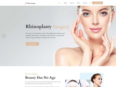 Plastic Surgery WordPress Theme cosmetic surgery plastic surgery wordpress theme