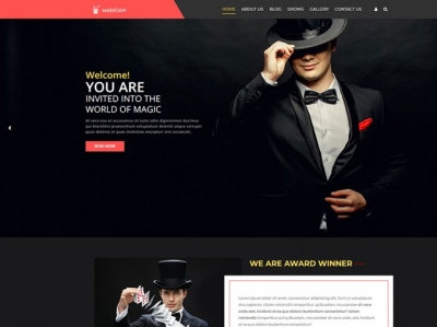 Magician WordPress Theme magician wordpress theme