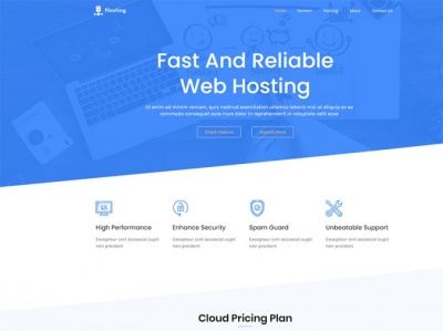 Web Hosting WordPress Theme