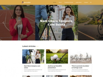 Journalist Portfolio WordPress Theme