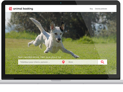 Logo et webdesign Animal Booking