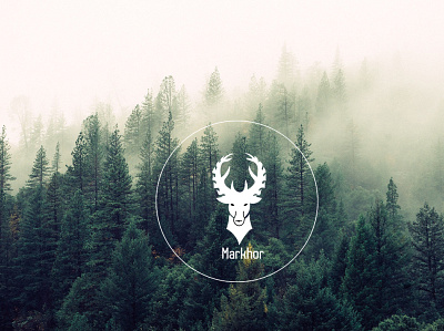 markhor logo design minimalist logo modern logo