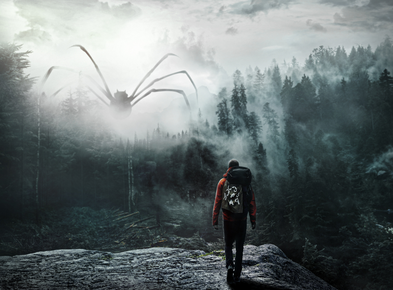 Large Spider Mist The Mist by Dawid Piela on Dribbble