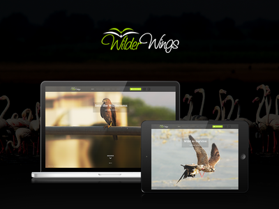 Wilder Wings birding birds birdwatcher design ebook interface photography research ui user ux wildlife