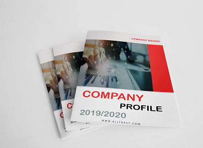 COMPANY PROFILE company company brand logo company branding company logo company profile flyer flyer artwork flyer design flyer template