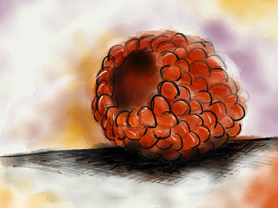 Raspberry - Paper on iPad drawing ipad paper raspberry red