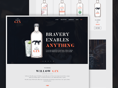 Willow Gin alcohol dark gin orange ui ux web design
