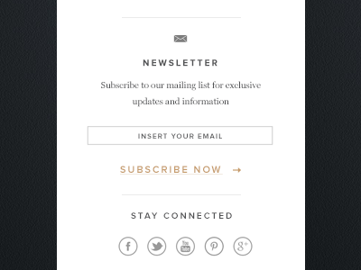 Vertical navigation side bar newsletter subscription social media vertical navigation