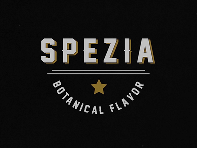 Logo Animation - Spezia after effects animation logo logo animation motion motiongraphics