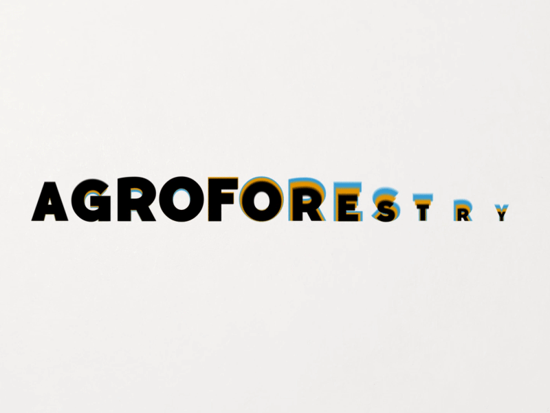 Plant Trees For Climate Action - AGROFORESTRY - Motion Design agroforestry animated animation design growahead illustration illustrator kinetic typography motion motion design nonprofit typogaphy typography